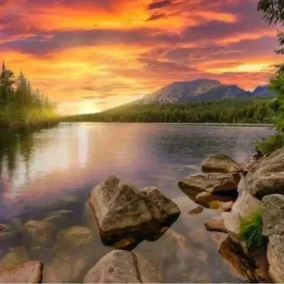 🆕Printed  Halter Top - Picture 9 of 12